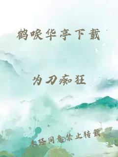 鹤唳华亭下载