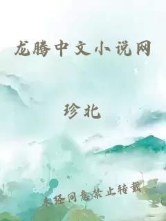 龙腾中文小说网