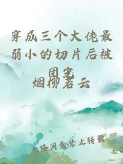 穿成三个大佬最弱小的切片后被团宠