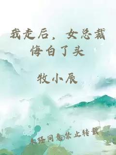 我走后，女总裁悔白了头