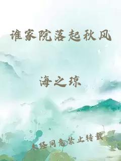 谁家院落起秋风